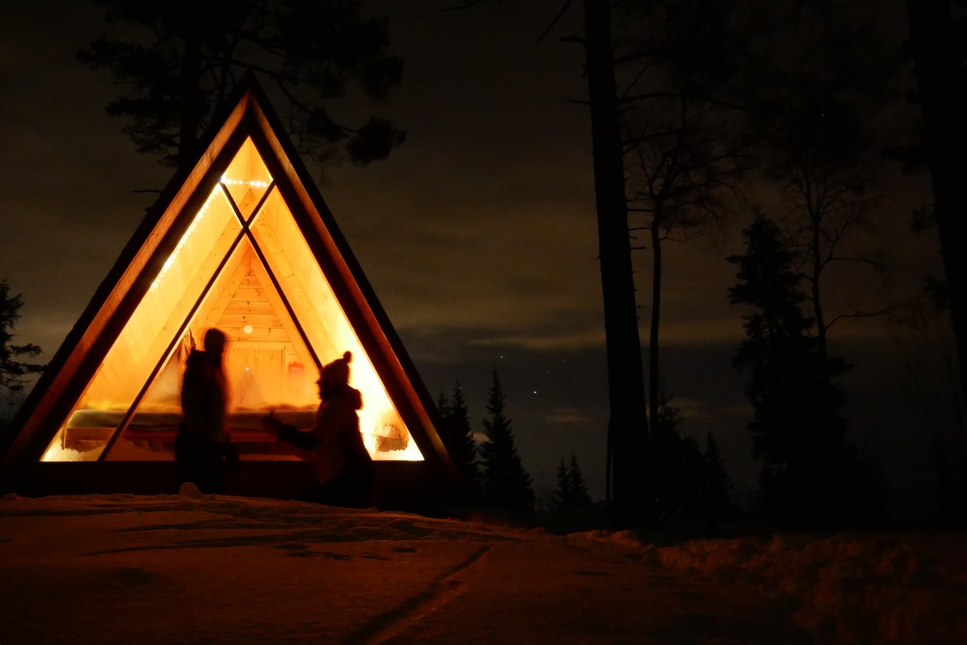 Nätrafjällskog 2025